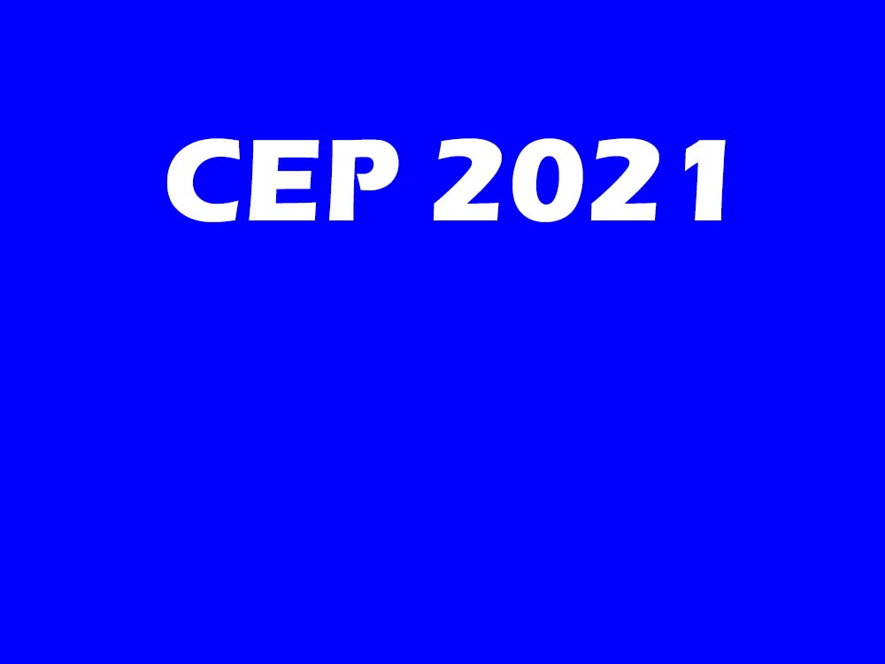 Délibération du CEP 2021 : 82,67% d’admis au plan national ; le Littoral, 1er avec 91,50% d’admis ; l’Atacora dernier avec 71,73%